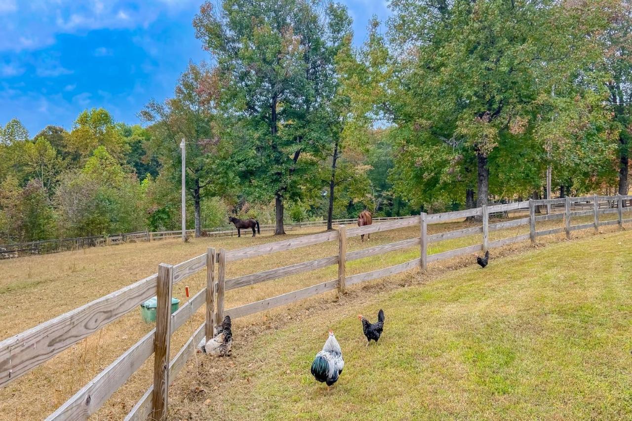 The Cottage At Overlook Farm Landrum Dış mekan fotoğraf